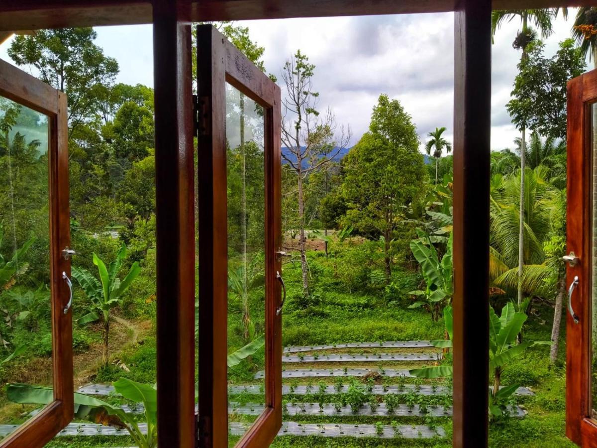 Sumatra Orangutan Discovery Villa Букіт-Лаванґ Екстер'єр фото